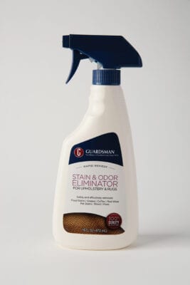 GUARDSMAN STAIN & ODOR ELIMINATOR
