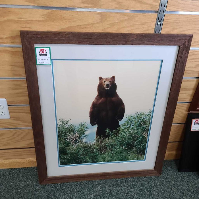 BEAR ART ML