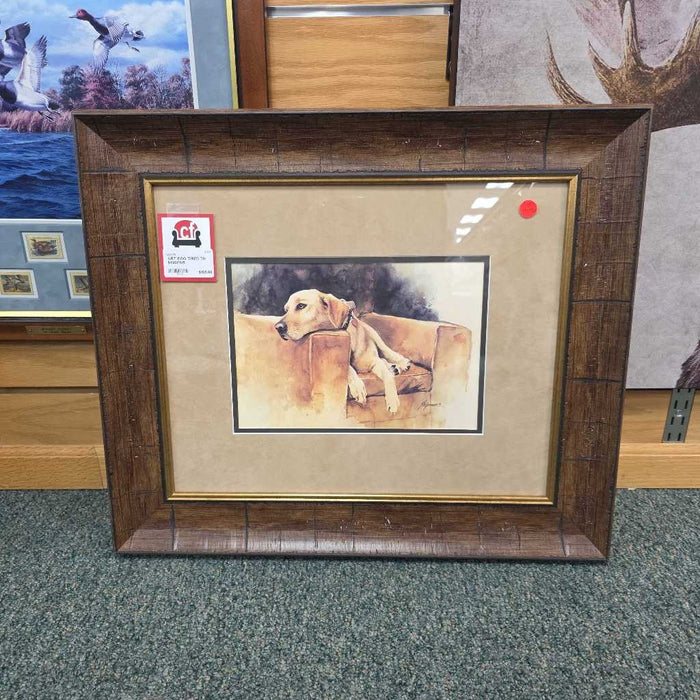 DOG TIRED TH 6499PAR