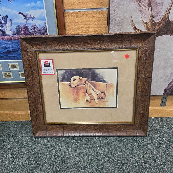 DOG TIRED TH 6499PAR