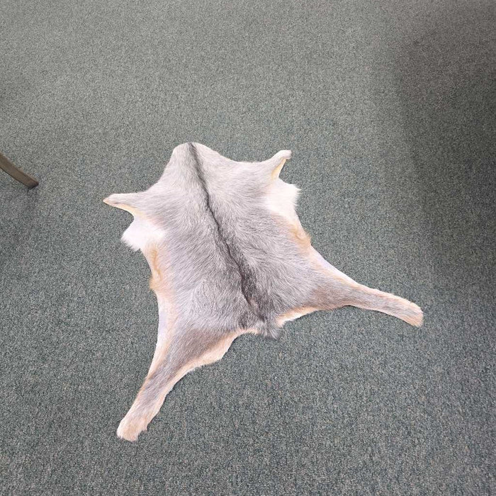GOATSKIN M/L