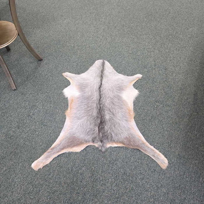 GOATSKIN M/L