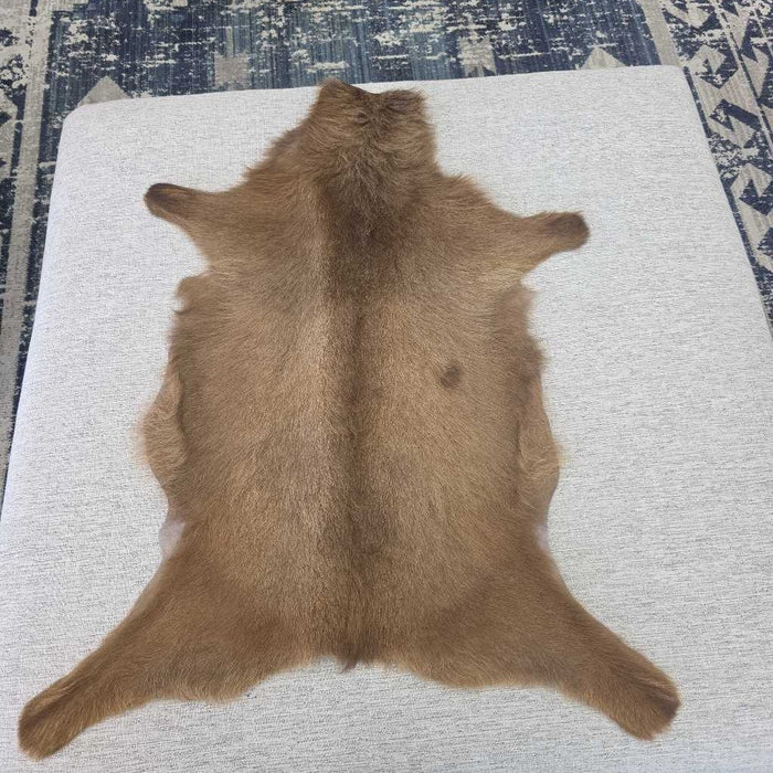 GOATSKIN M/L