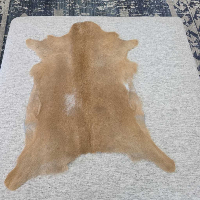 GOATSKIN M/L
