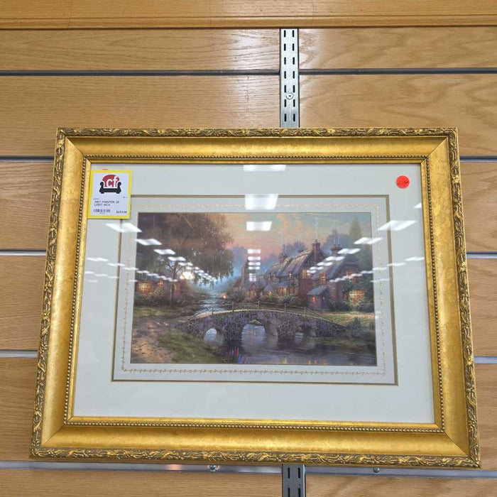 PAINTER OF LIGHT BCA