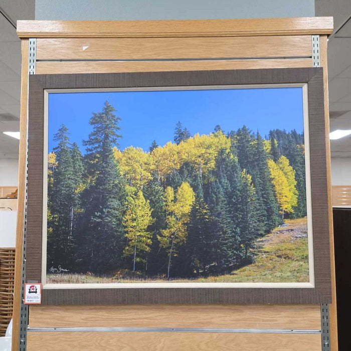 FALL COLORS HIGH ELEVATION BTK