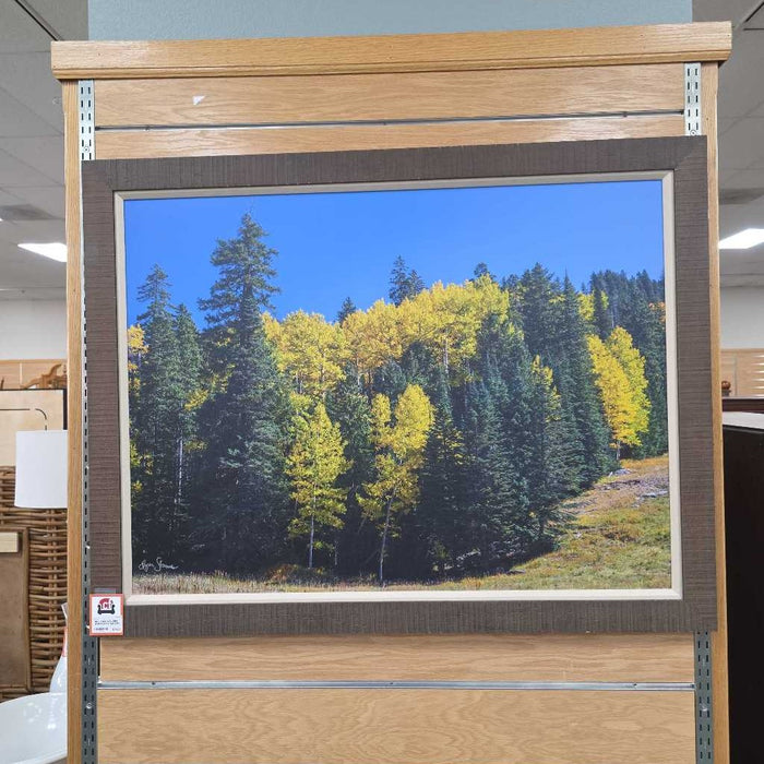 FALL COLORS HIGH ELEVATION BTK