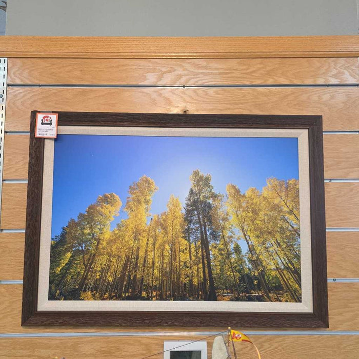 RESPLENDENT ASPENS BST