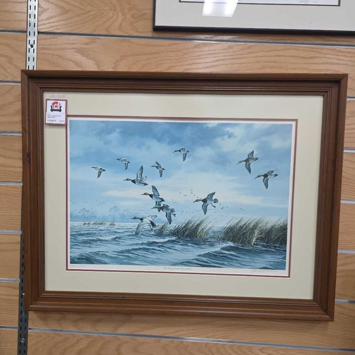 THE KING OF DUCKS MI