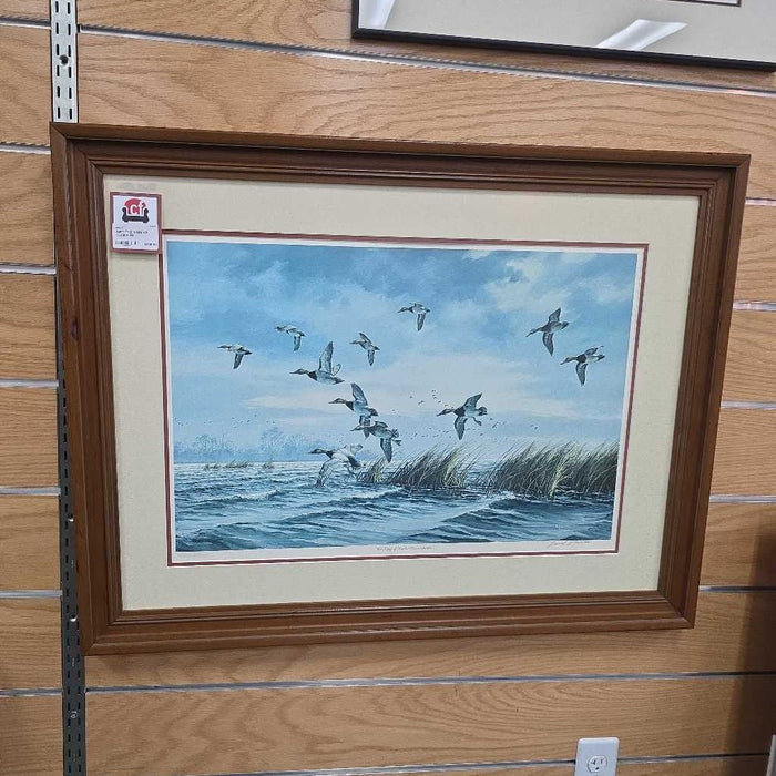 THE KING OF DUCKS MI