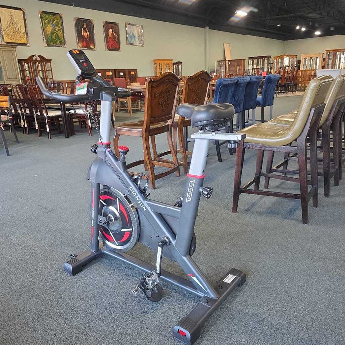 DMASUN EXERCISE BIKE SK