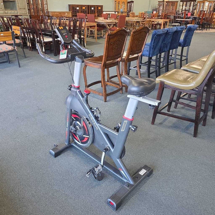 DMASUN EXERCISE BIKE SK