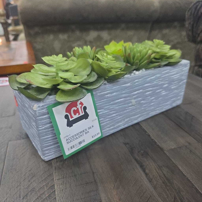 SILK SUCCULENT BA