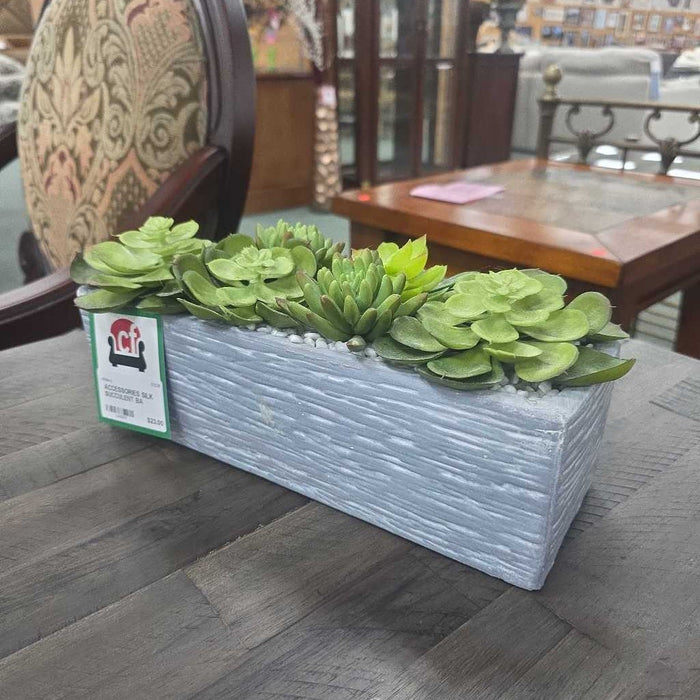 SILK SUCCULENT BA