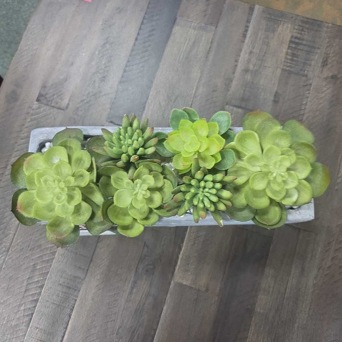 SILK SUCCULENT BA