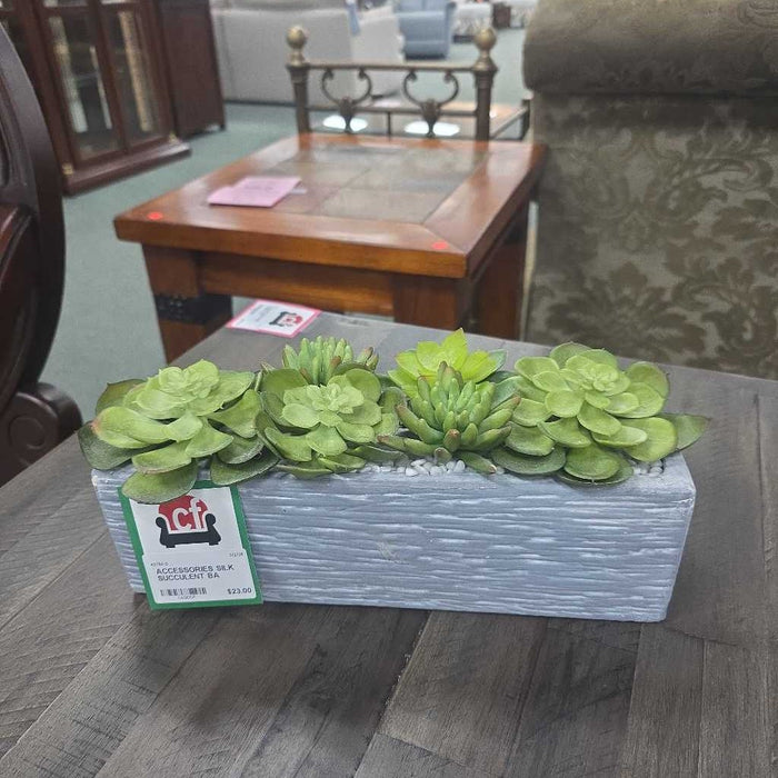 SILK SUCCULENT BA