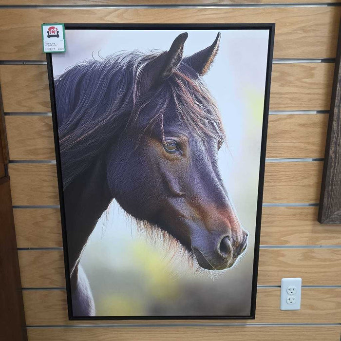 BLACK STALLION BAH