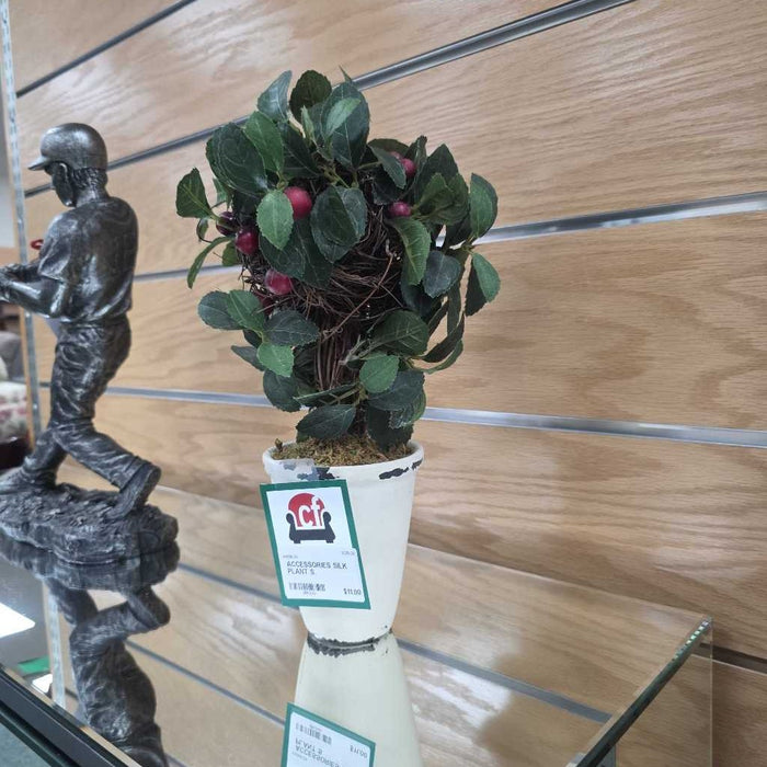 SILK PLANT S