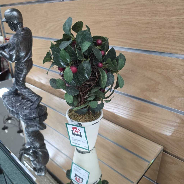SILK PLANT S