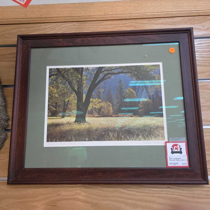 YOSEMITE VALLEY WALL ART LS