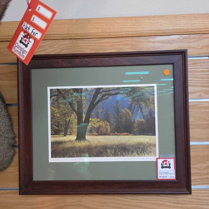 YOSEMITE VALLEY WALL ART LS