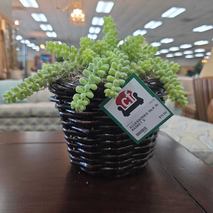 SILK IN BASKET S