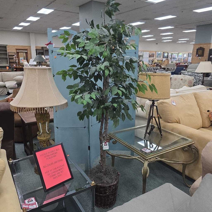 SILK TREE IN BASKET KI