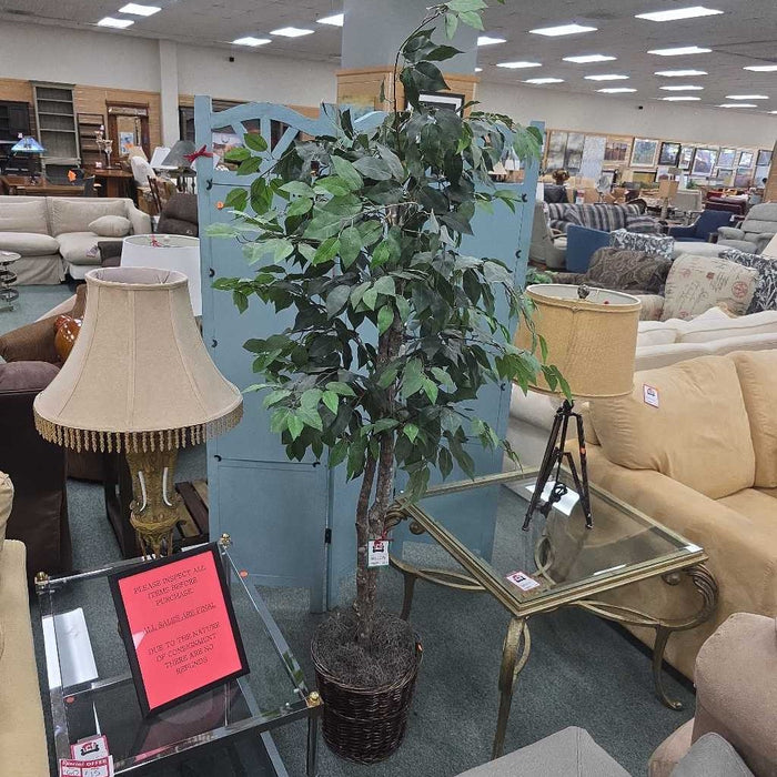 SILK TREE IN BASKET KI