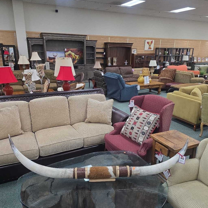 LONGHORN DECOR ATH