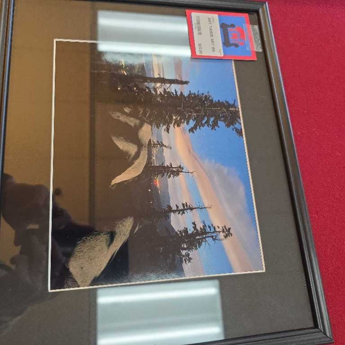 TAHOE ART
