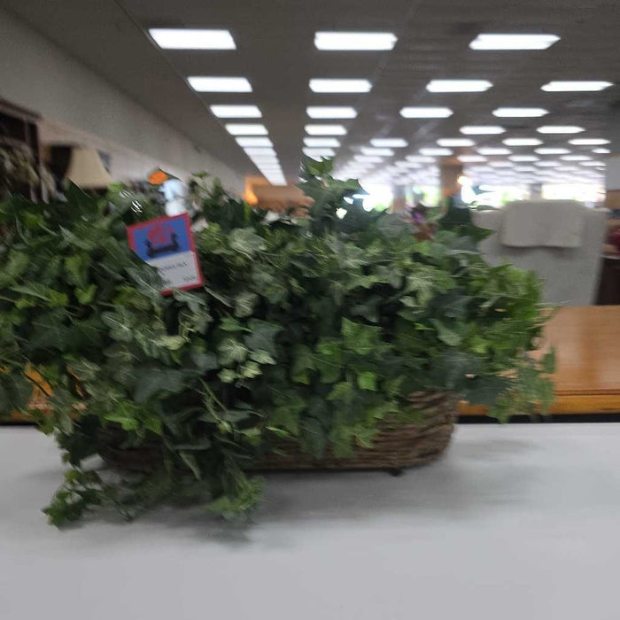 SILK PLANT S