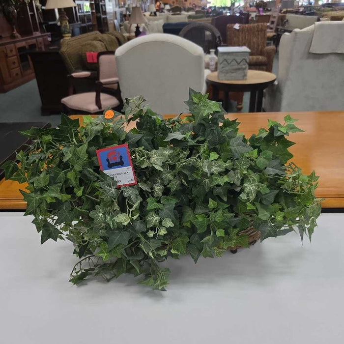 SILK PLANT S