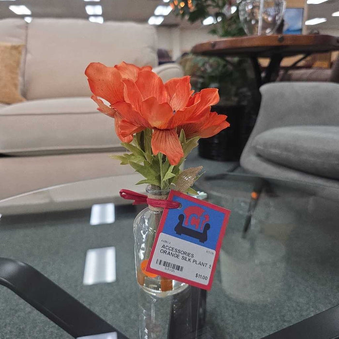 ORANGE SILK PLANT S