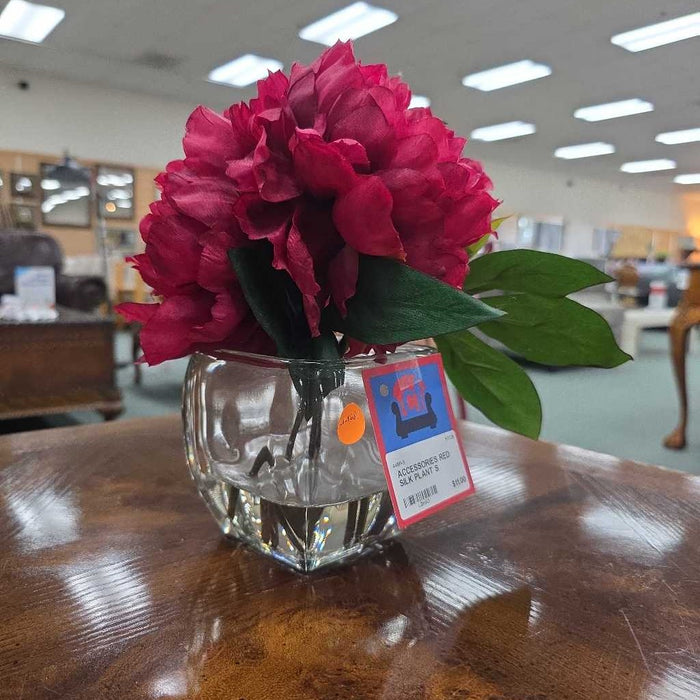 RED SILK PLANT S