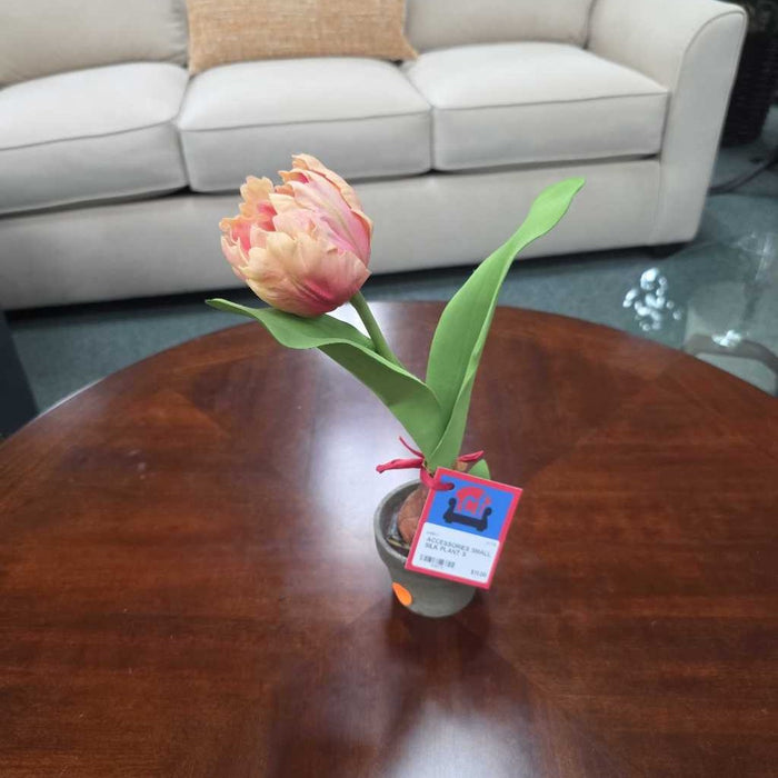 SMALL SILK PLANT S