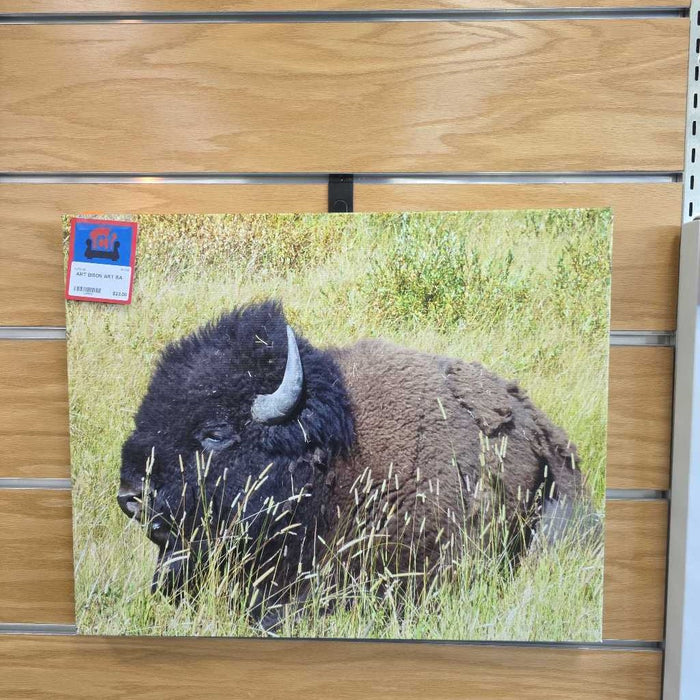 BISON ART