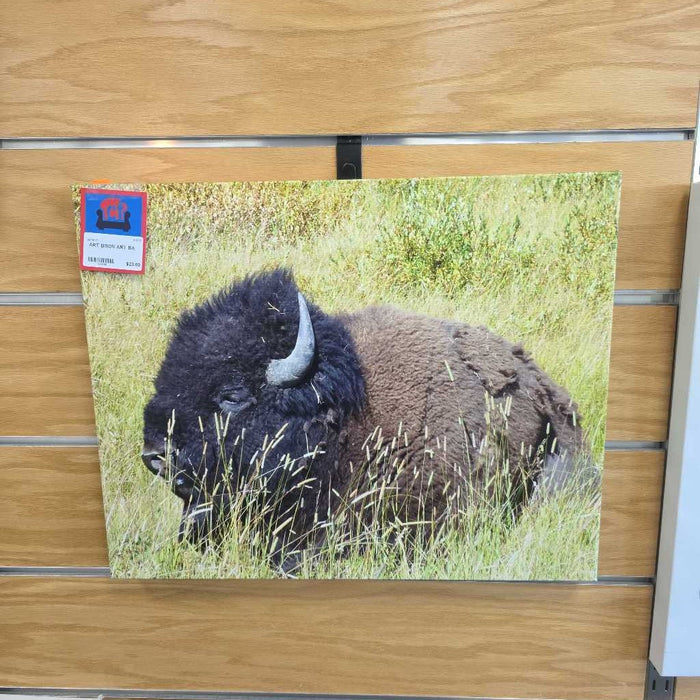 BISON ART