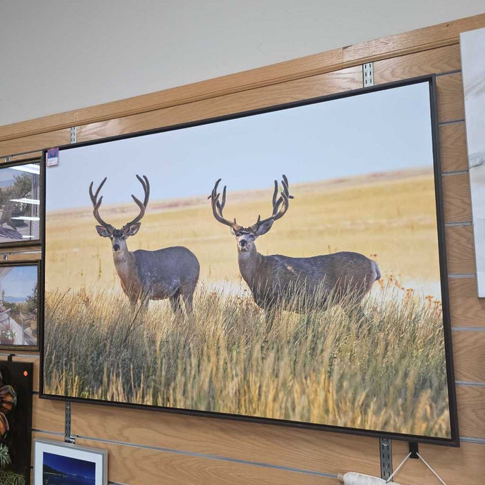 DEER WALL ART TB