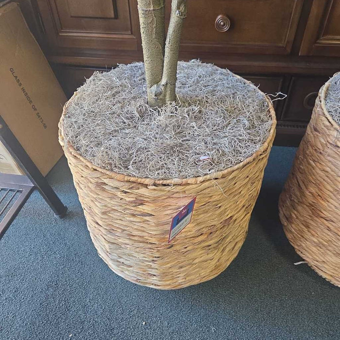 SILK FIG IN BASKET SK