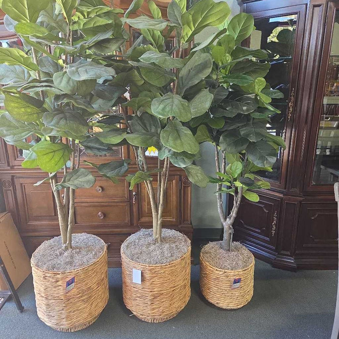 SILK FIG IN BASKET SK