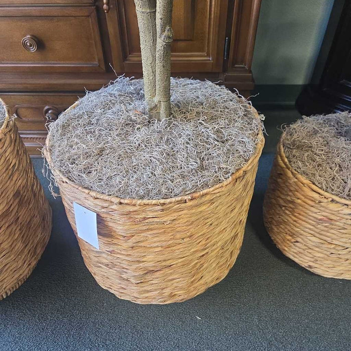 SILK FIG IN BASKET SK