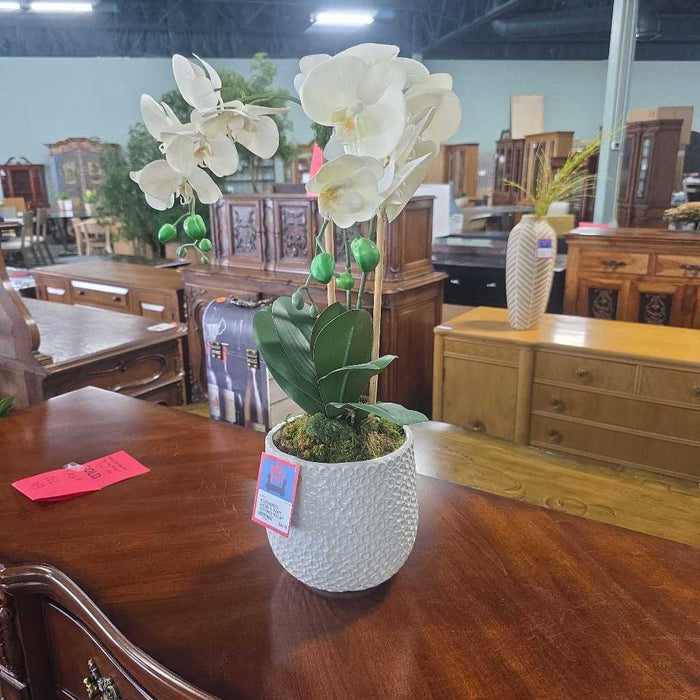 ORCHID IN WHITE TEXTURED POT BT