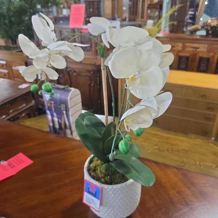 ORCHID IN WHITE TEXTURED POT BT