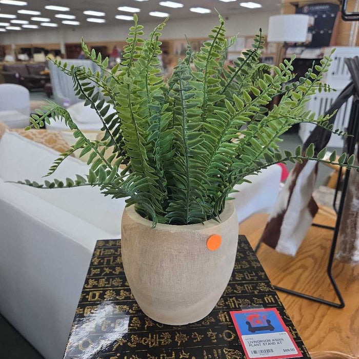 SILK FERN IN WOOD POT BA