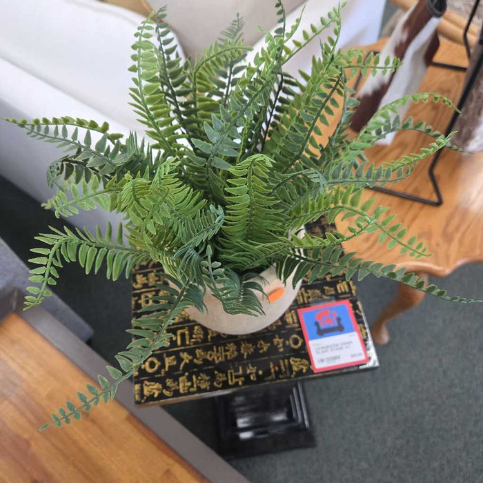 SILK FERN IN WOOD POT BA