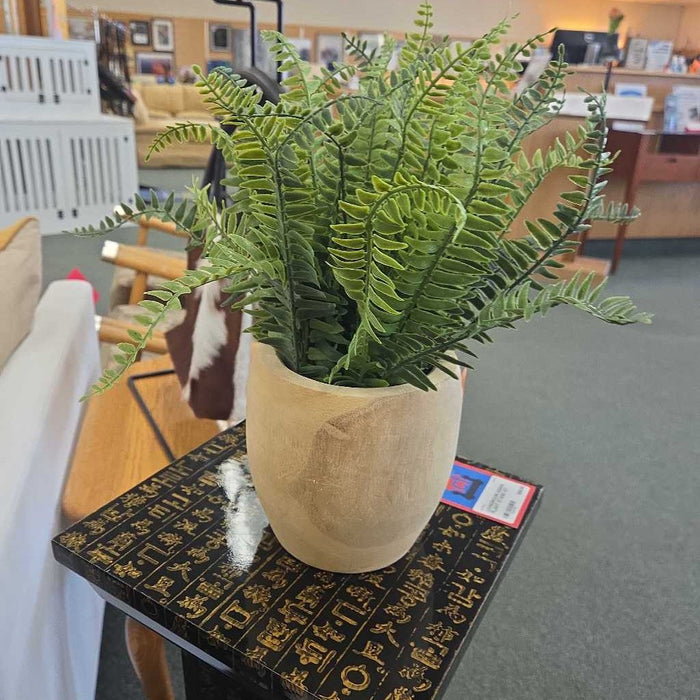 SILK FERN IN WOOD POT BA