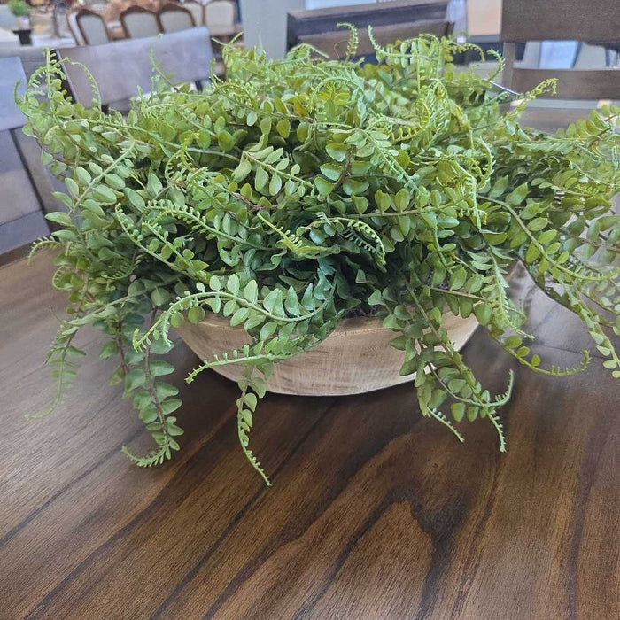 LARGE SILK FERN IN WOOD BOWL AL