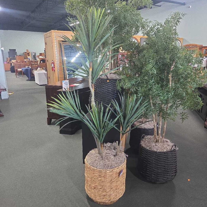 TALL PALM IN BASKET SK