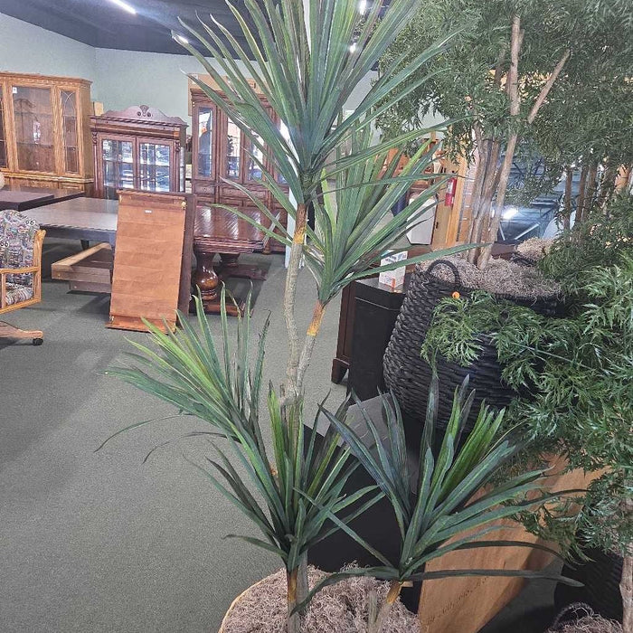 TALL PALM IN BASKET SK