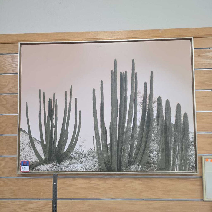 CACTUS CANVAS SK